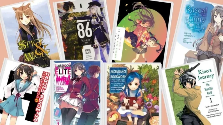 Best Light Novels That Inspired Anime Shows