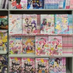 The Role of Japanese Culture in Anime Books